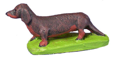 Dachshund