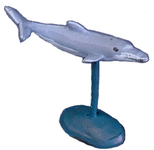 Adult Dolphin
