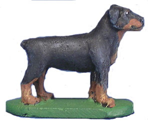 Rottweiler