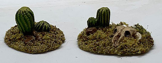 Barrel Cactus
